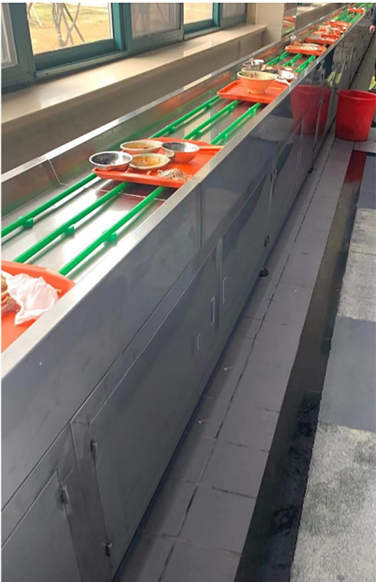 绳带式传送带